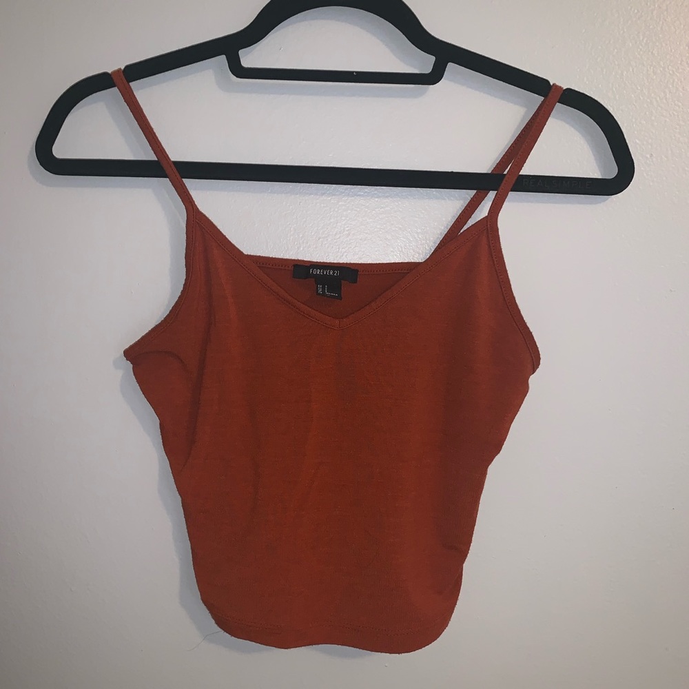 Fall crop top